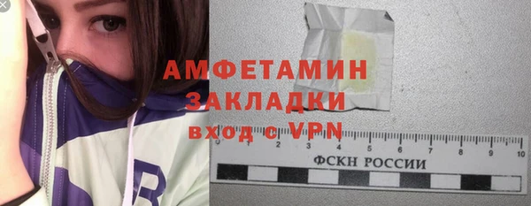 индика Богородск