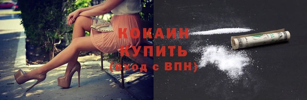 индика Богородск