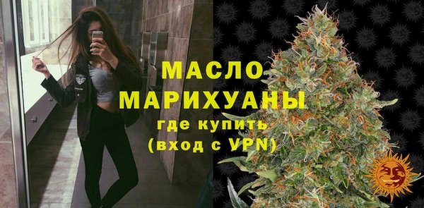 индика Богородск
