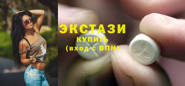 индика Богородск