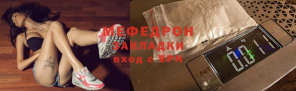 индика Богородск