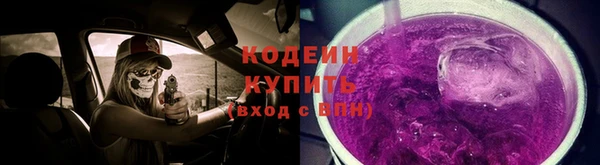 индика Богородск
