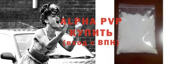 индика Богородск