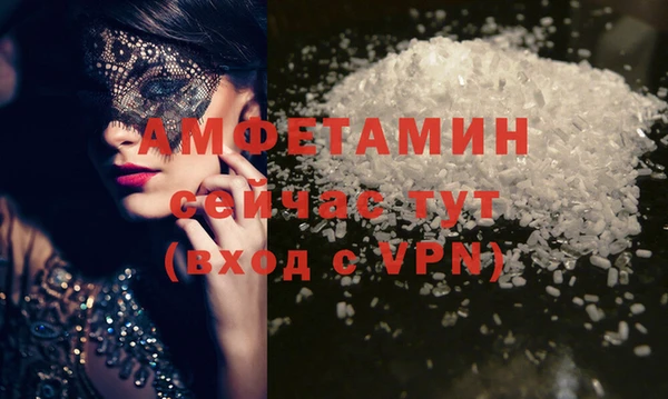 индика Богородск
