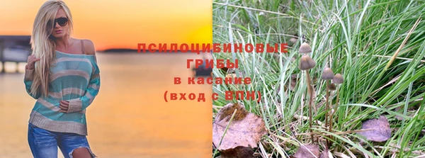 бошки Богородицк