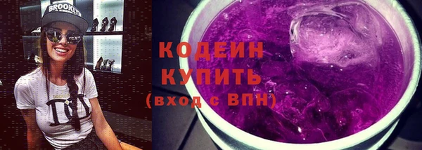 индика Богородск
