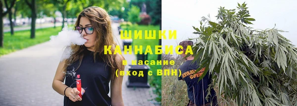 индика Богородск