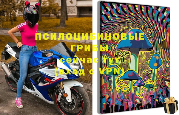 индика Богородск
