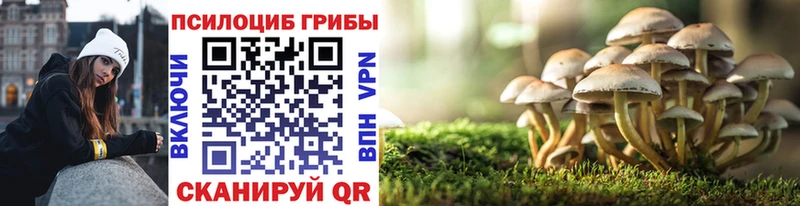 Купить закладки  Спасск-Дальний  Псилоцибиновые грибы Cubensis 